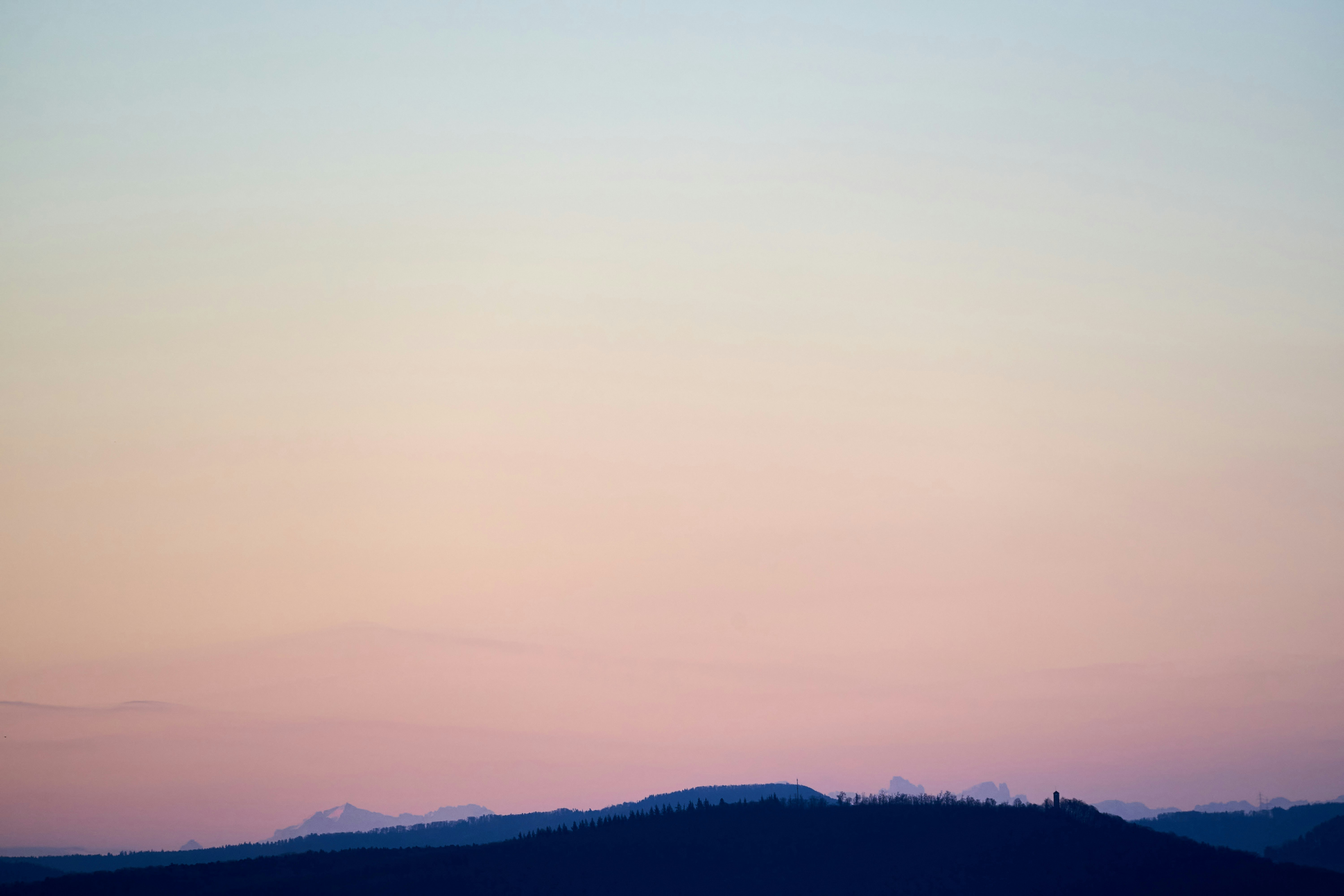 Photo by wolfgang_hasselmann