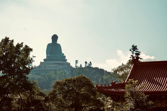brown temple surrounded by trees during daytime in Lantau South Country Park Hong Kong