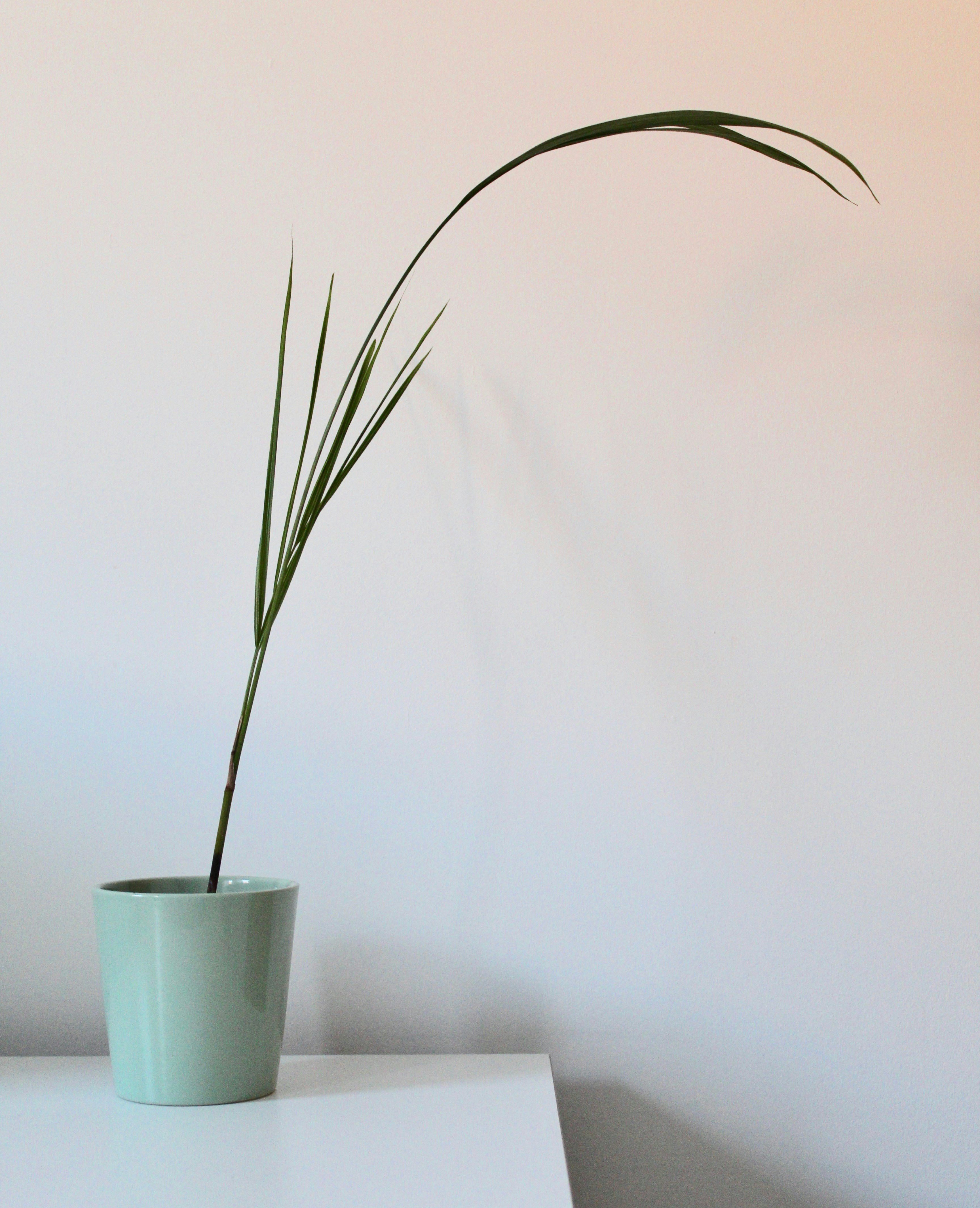 Photo by sophiewrixon