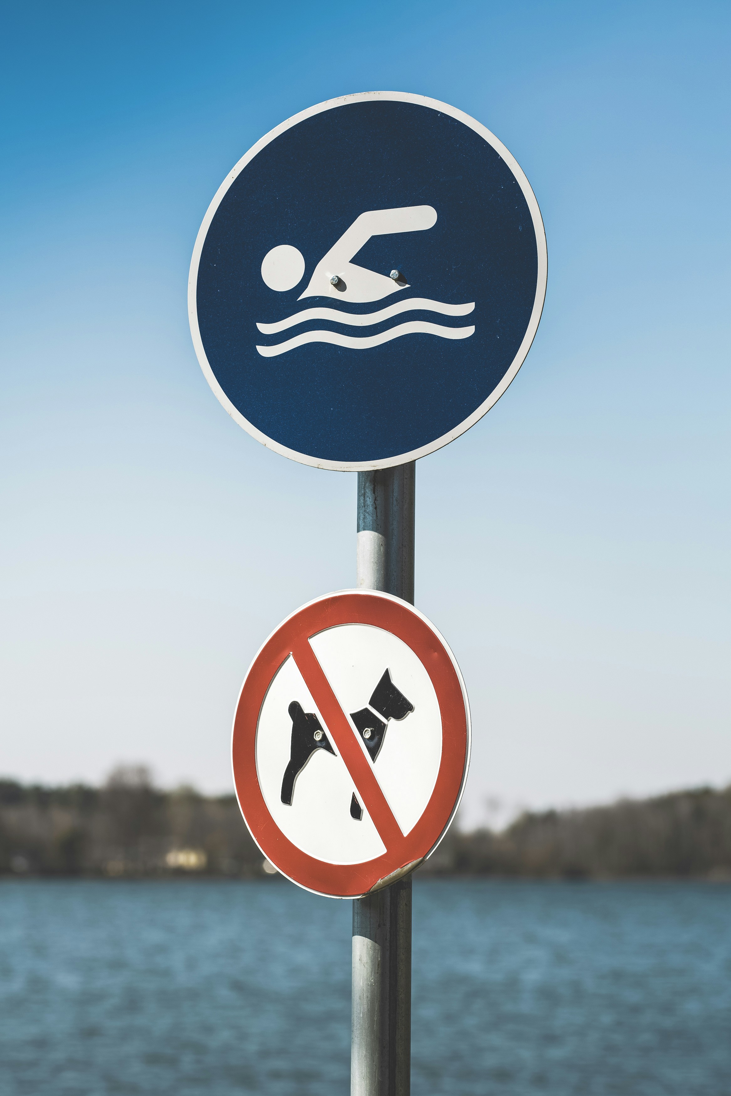 Photo by markusspiske