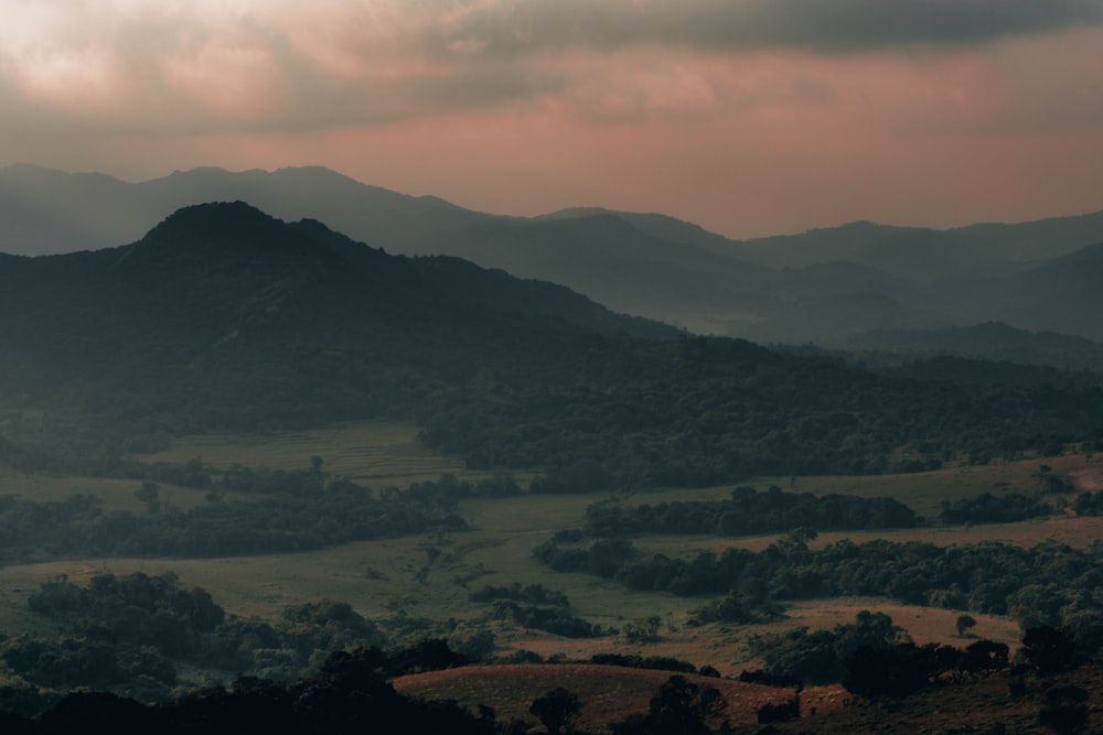 green trees and mountains during daytime