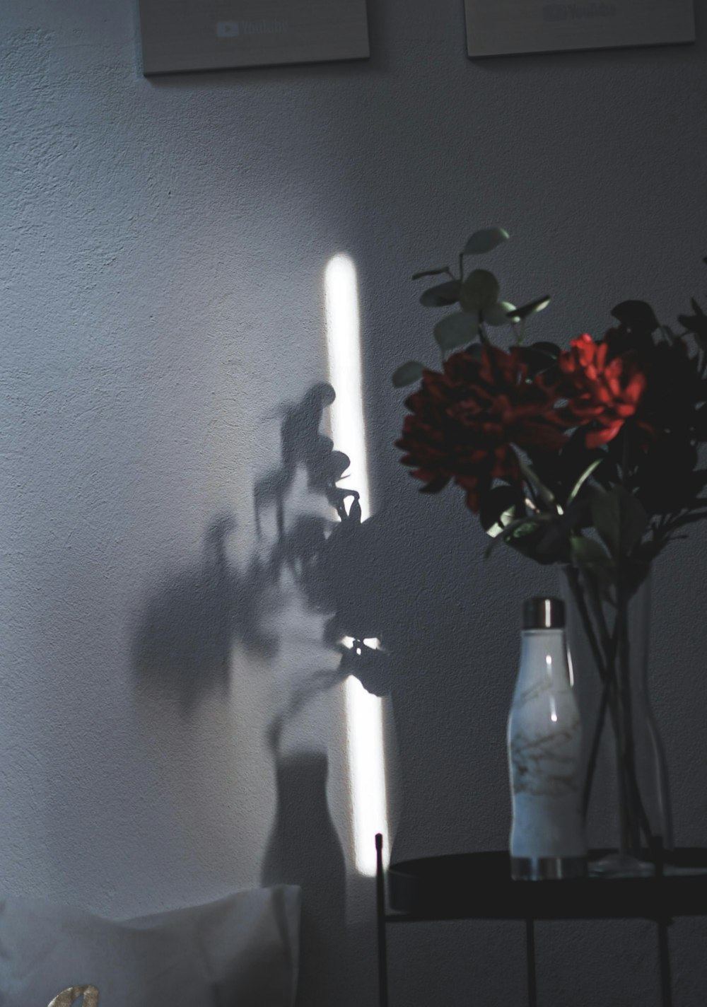 red roses in white ceramic vase