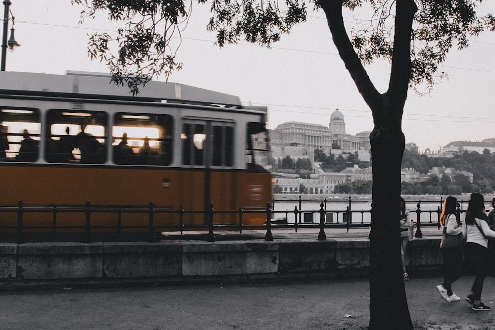 yellow and black train on rail near body of water during daytime