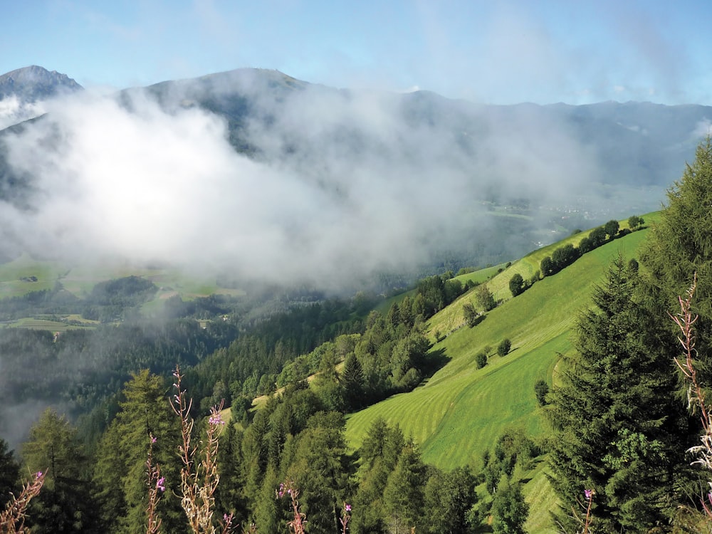 green trees on mountain under cloudy sky during daytime