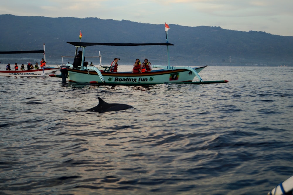 personnes à cheval sur un bateau blanc et vert sur la mer pendant la journée