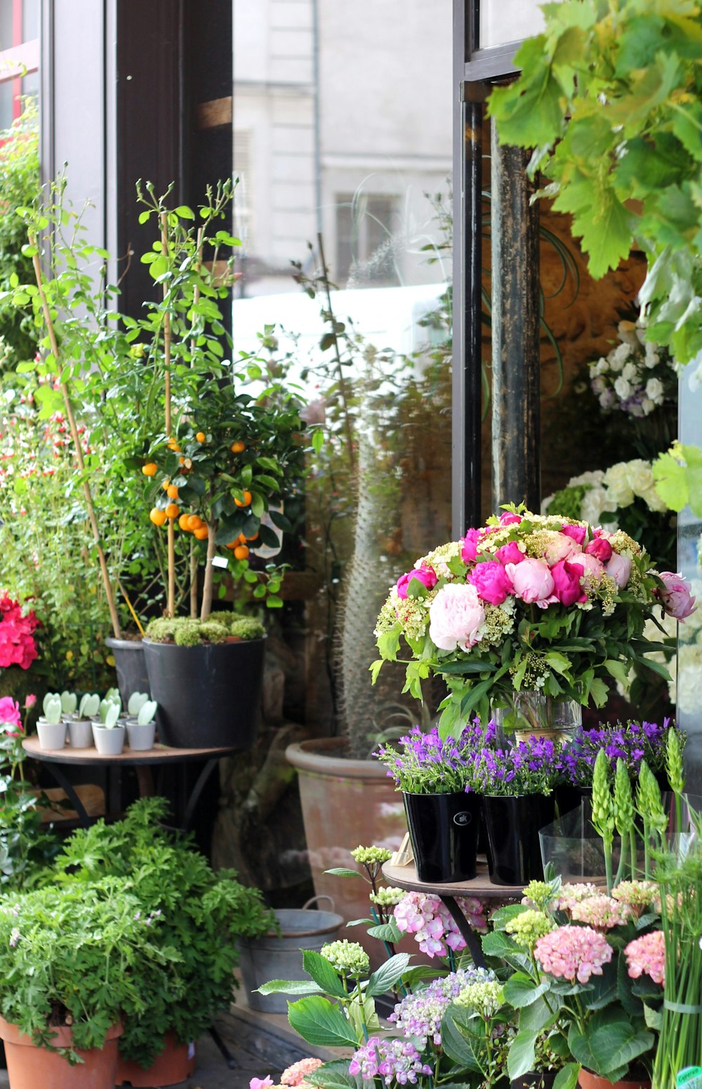 pink and white flowers on black plastic pots