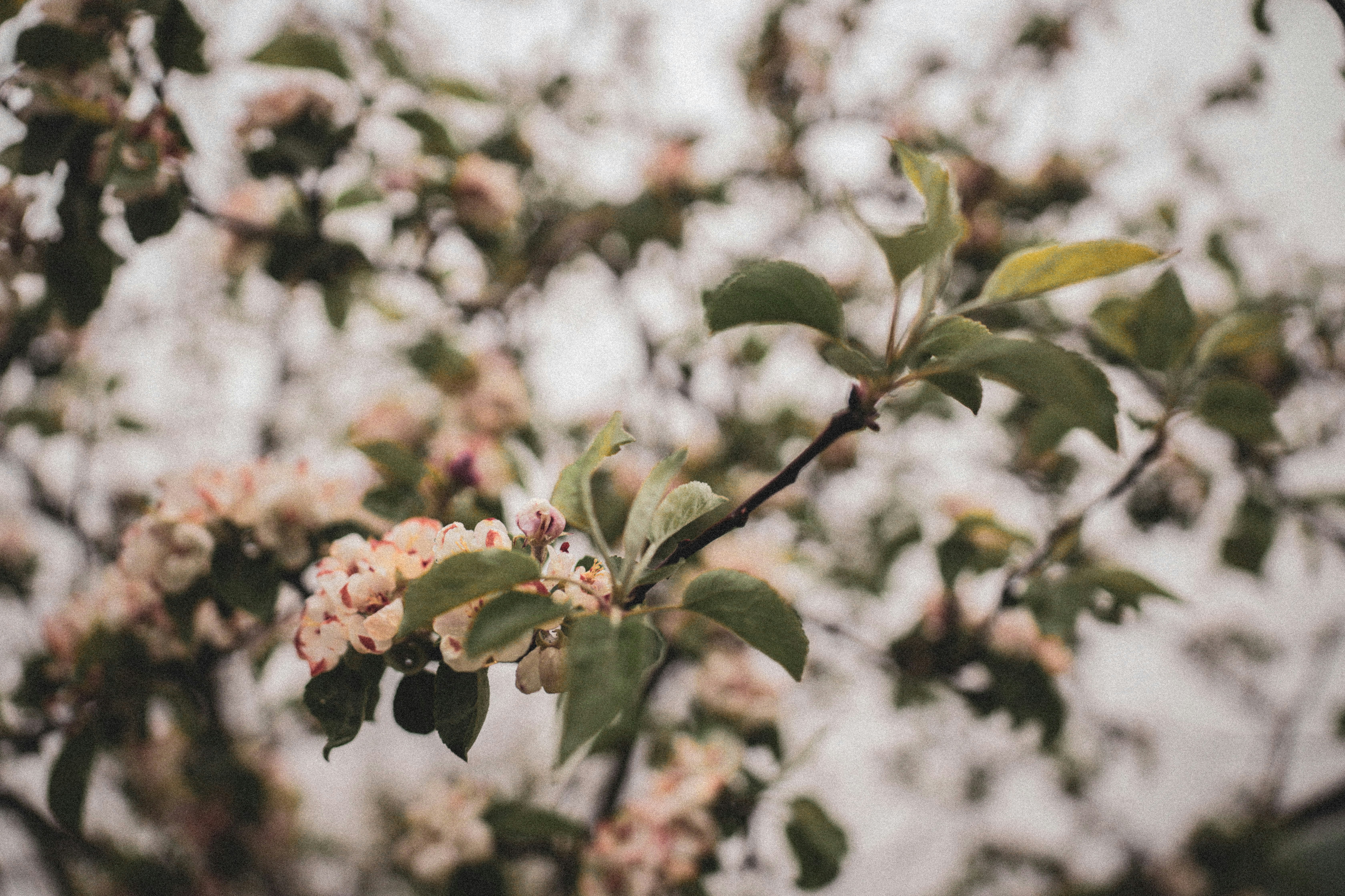 Photo by corina_rainer_