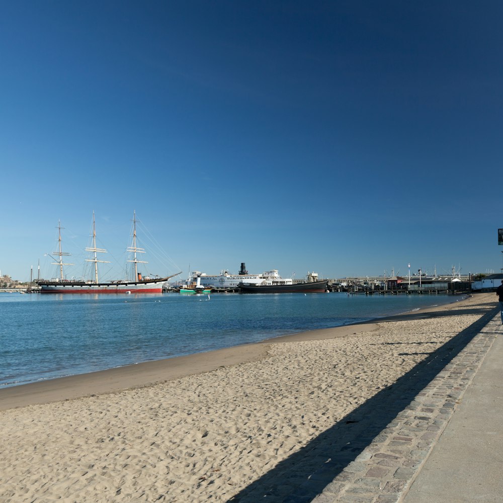 people on beach during daytime