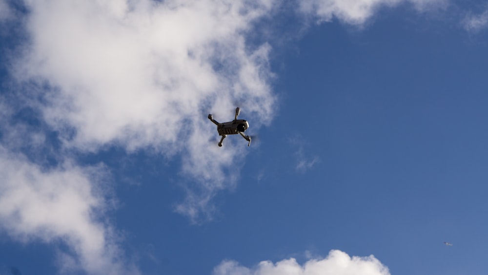 white and black bird flying under blue sky during daytime