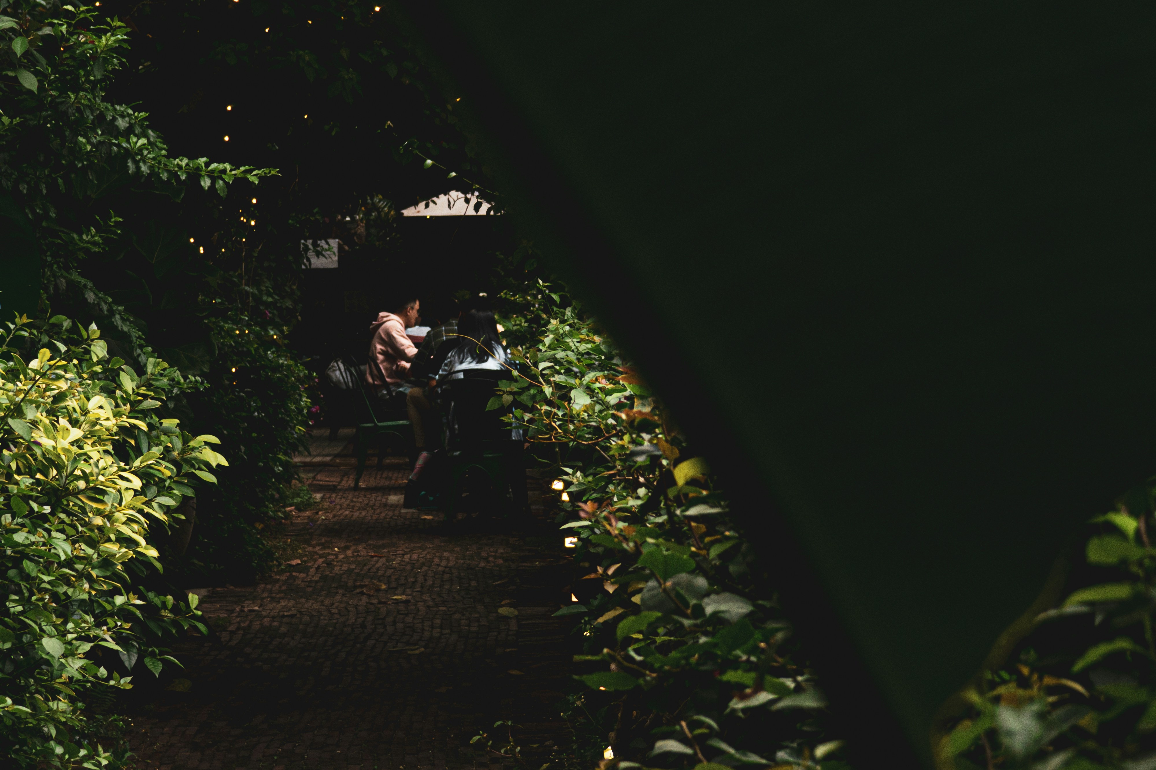 Photo by chansummerla