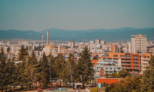 green trees near city buildings during daytime in Sofia Bulgaria