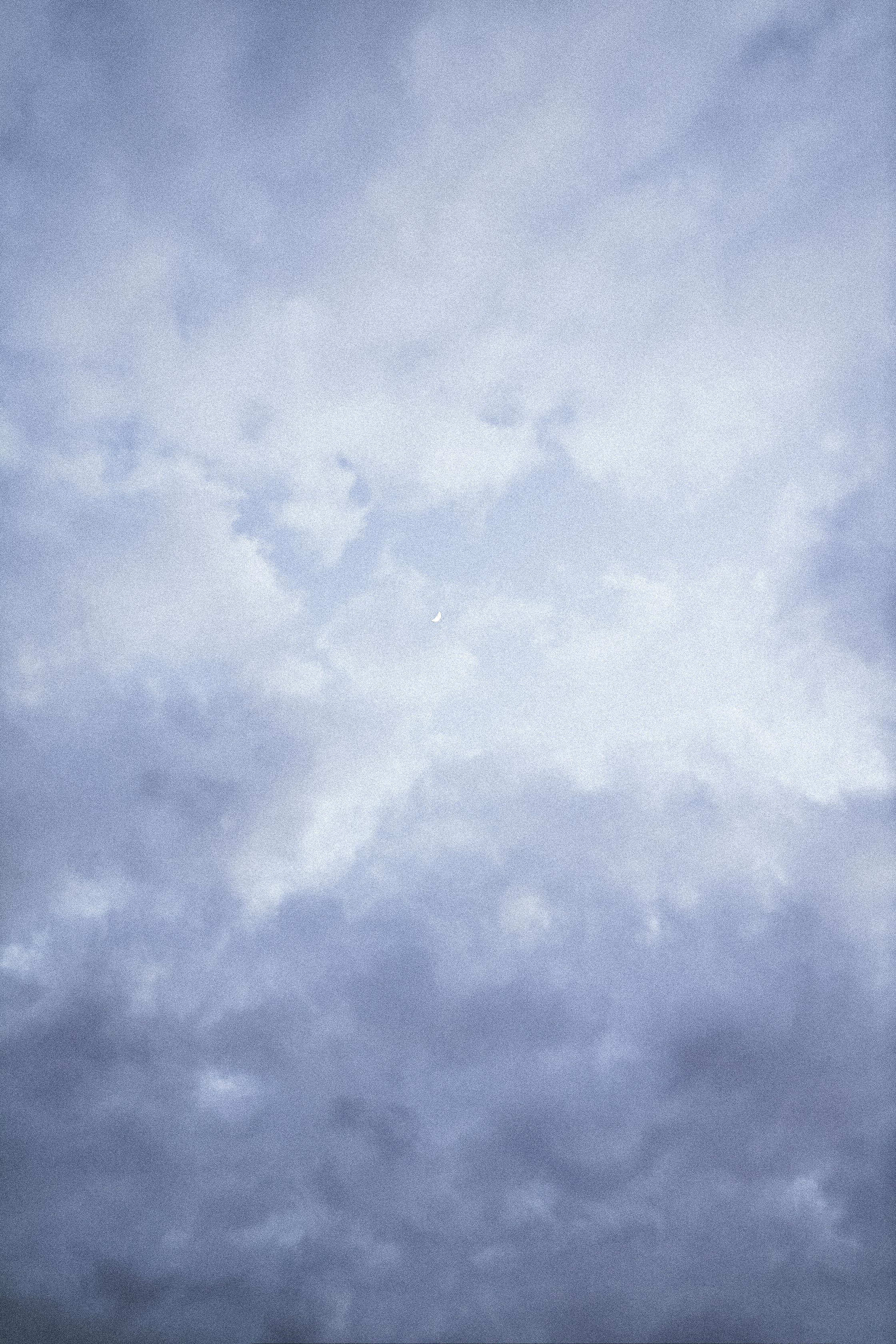 Photo by corina_rainer_