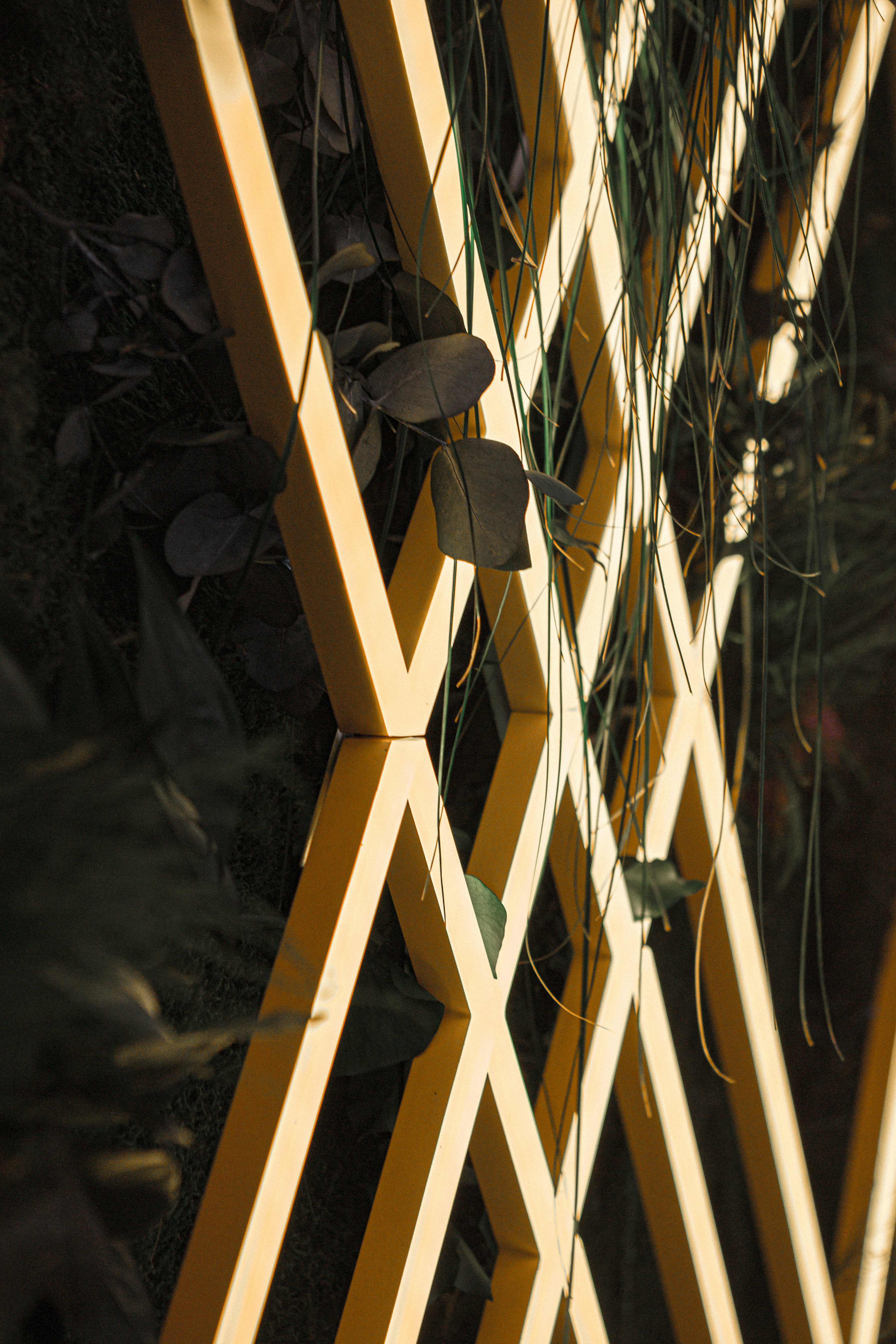 Photo by valentinlacoste