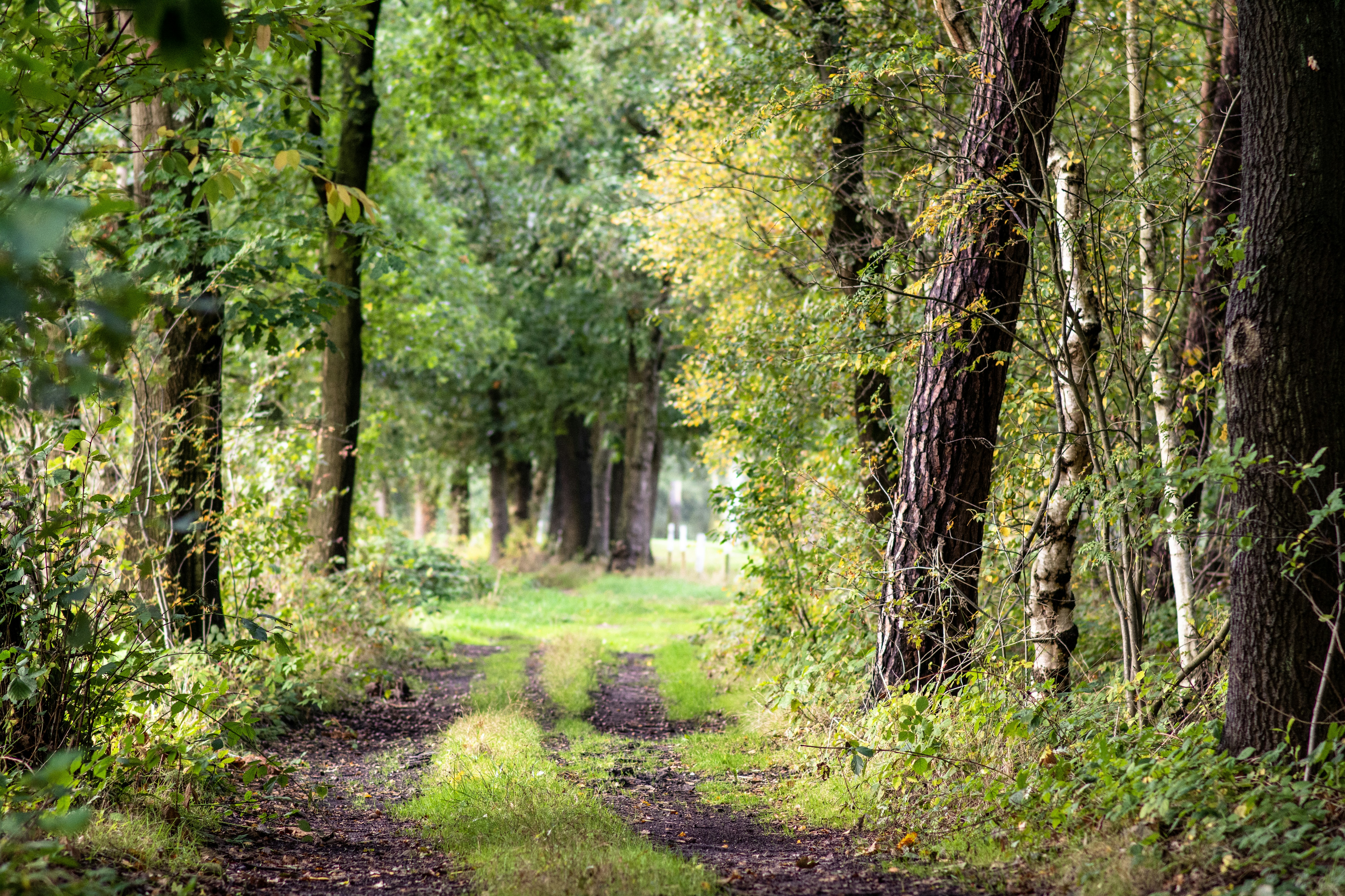 Photo by henrykfoto66