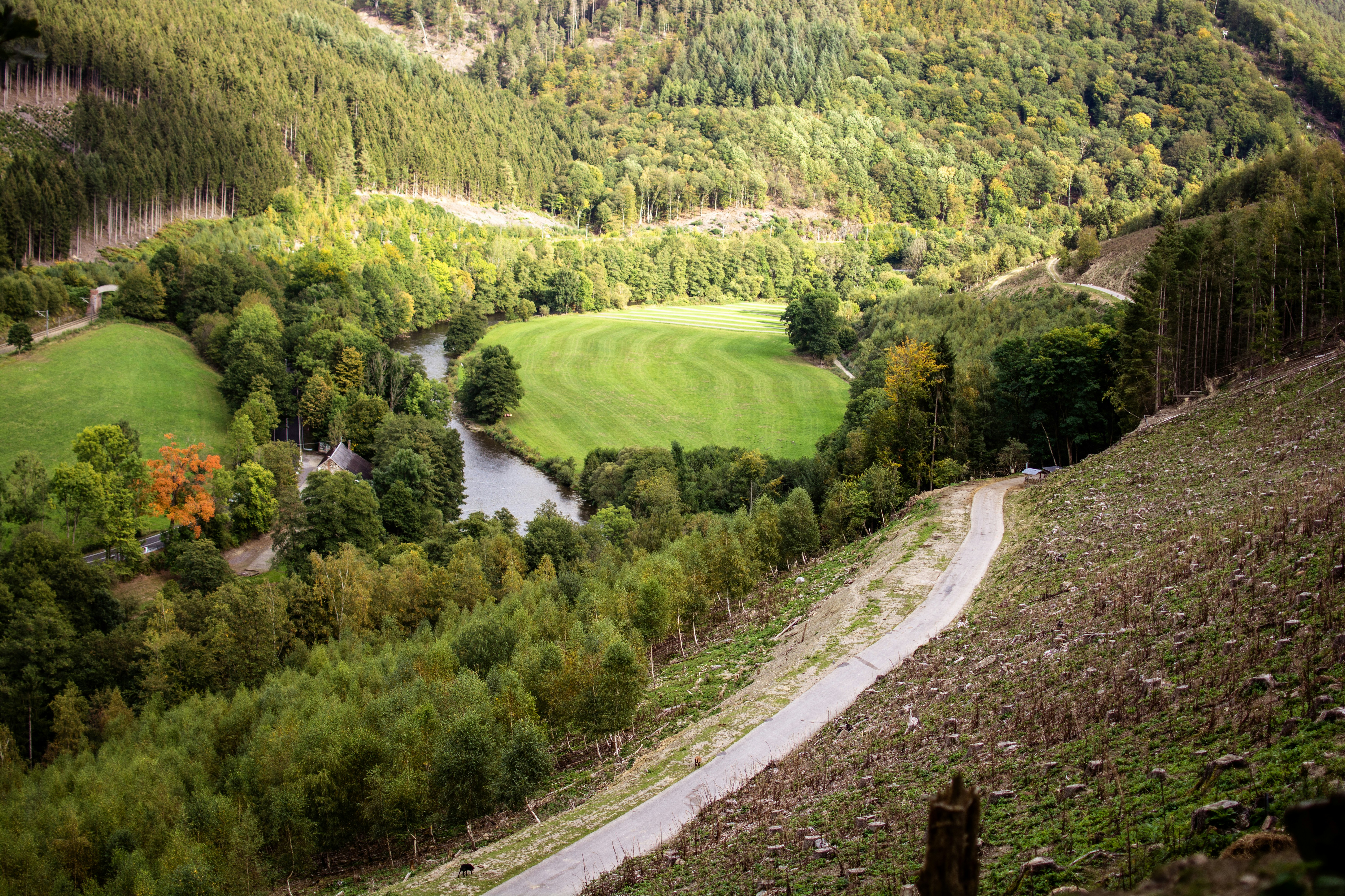 Photo by henrykfoto66