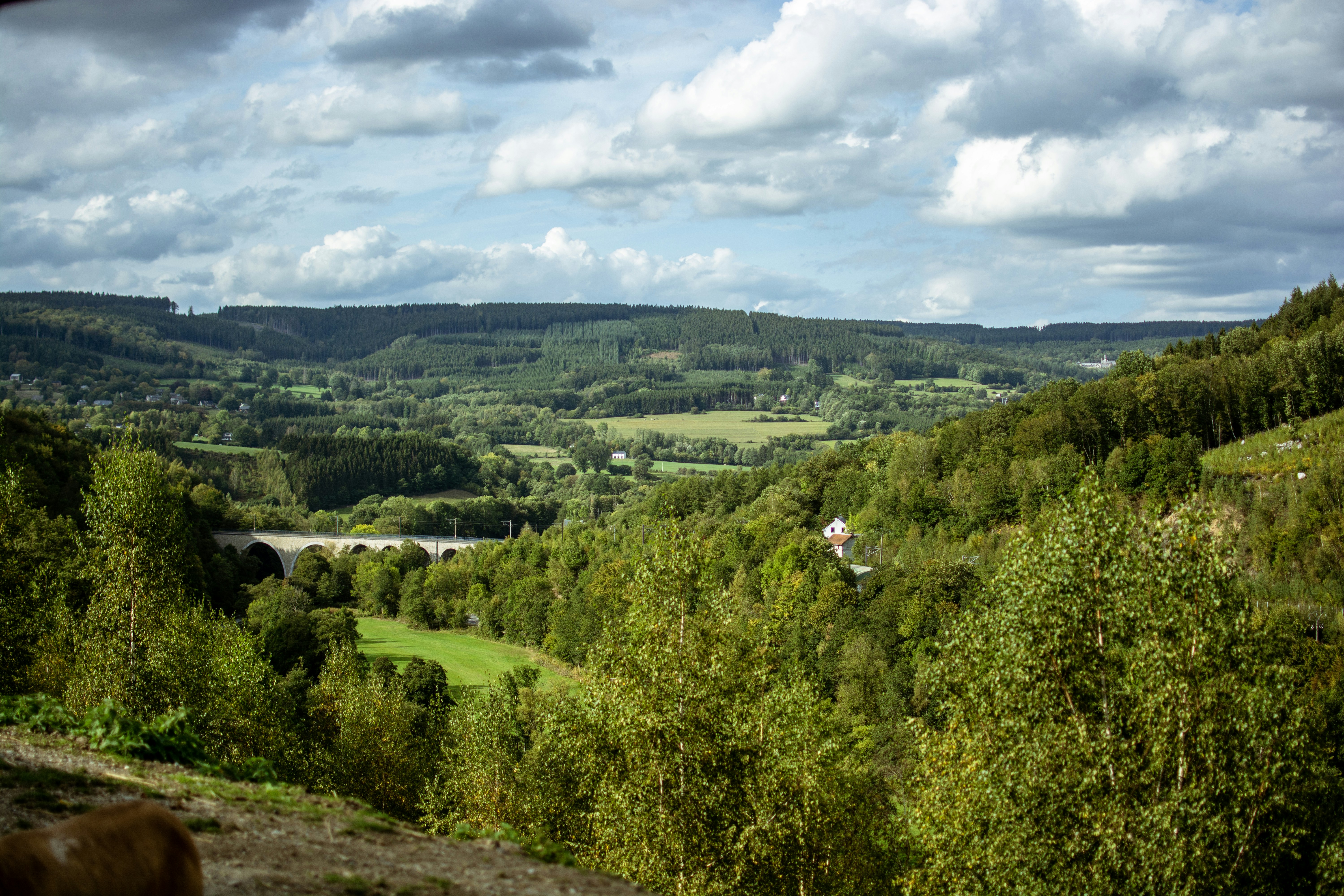 Photo by henrykfoto66