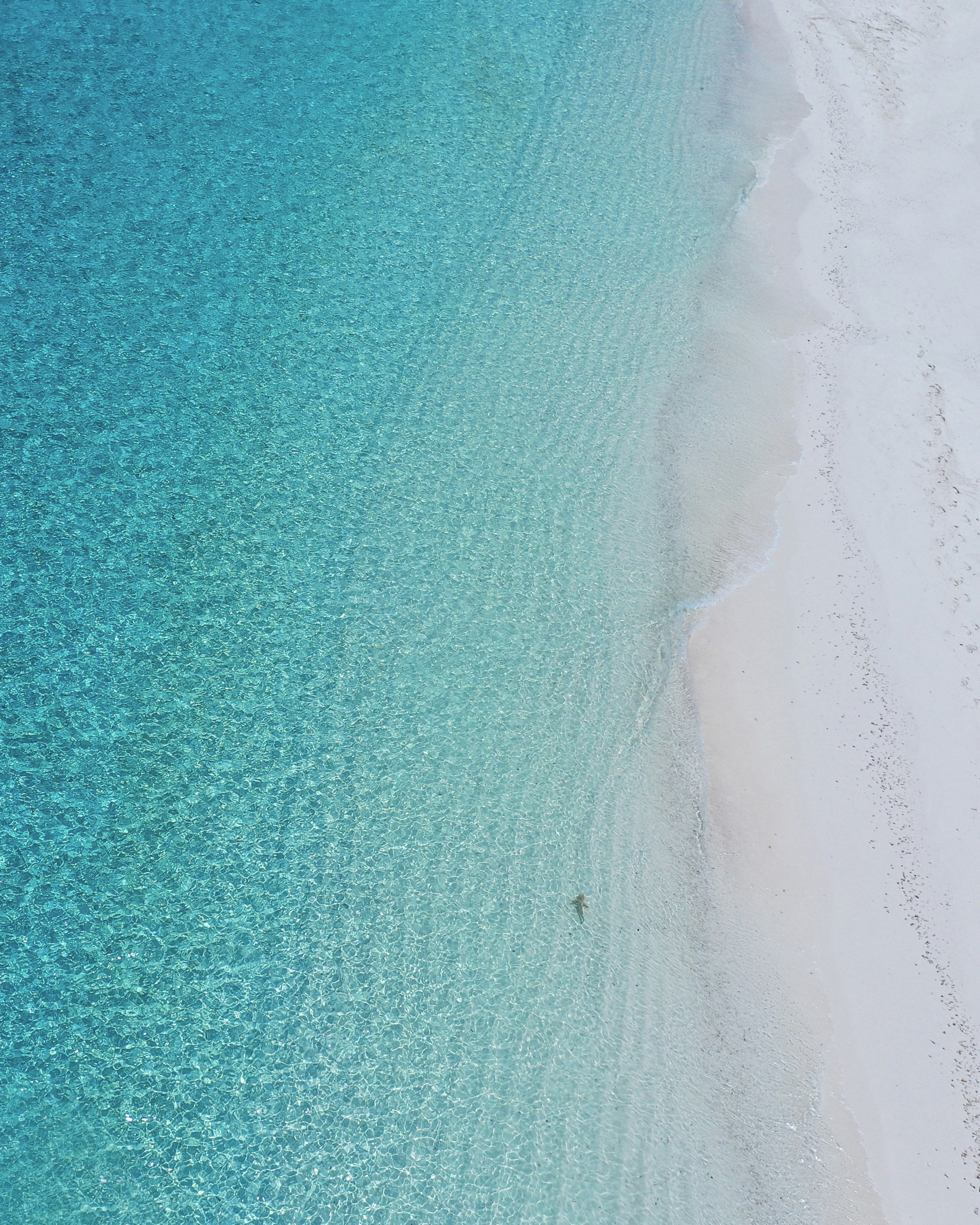 white textile on green textile