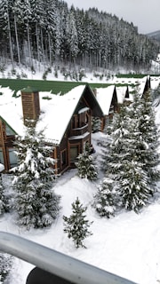 Snow-covered cabins nestled among tall pine trees in Bark Mountain during winter.