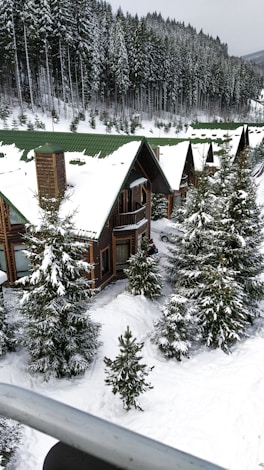 Snow-covered cabins nestled among tall pine trees in Bark Mountain during winter.