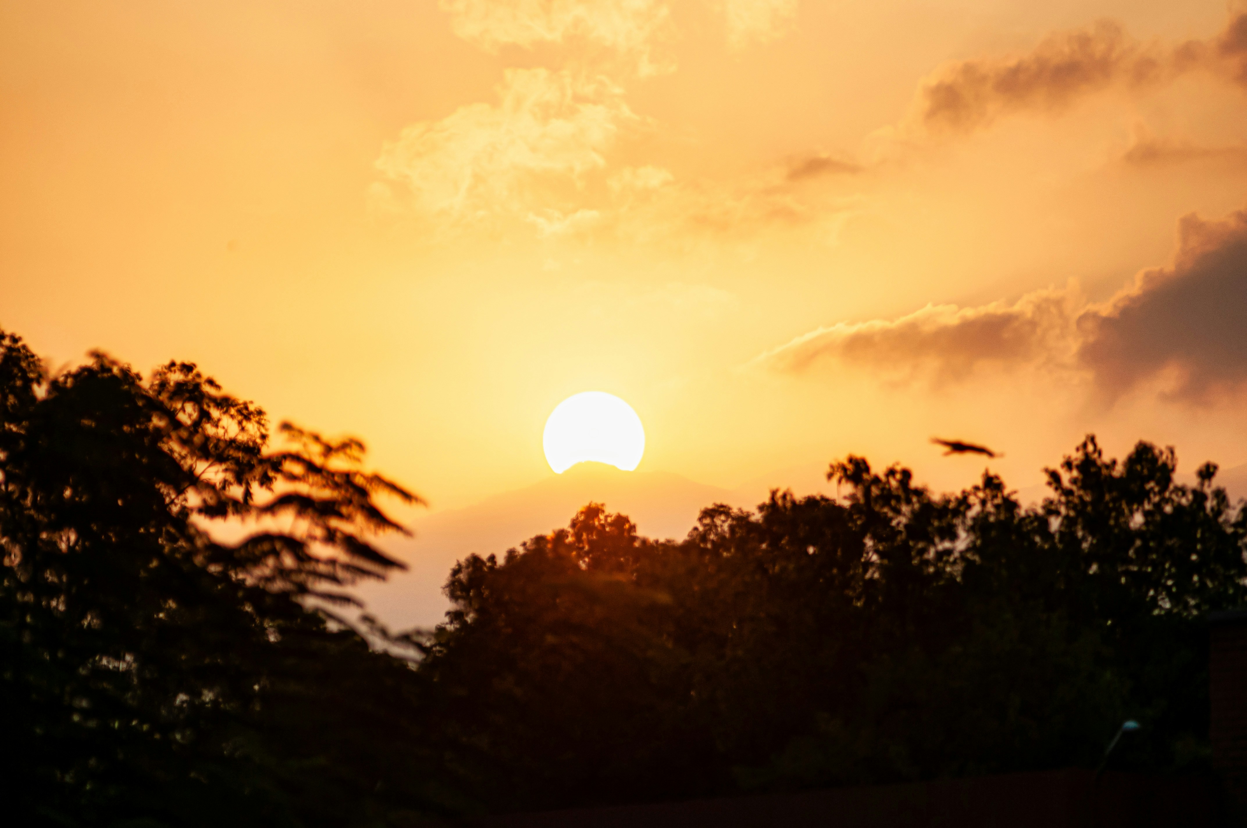 Photo by shahzadriazpk