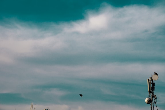 A clear sky with some wispy clouds dominating the top of the image. Two birds are visible, one perched on a tall communication antenna structure and another flying in the background. The antenna is equipped with satellite dishes and various technical components.