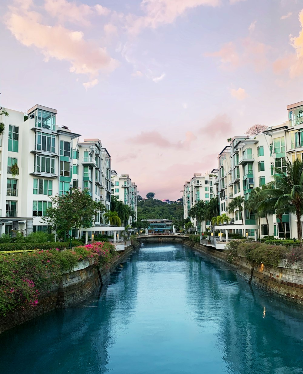 river between green trees and white concrete buildings during daytime