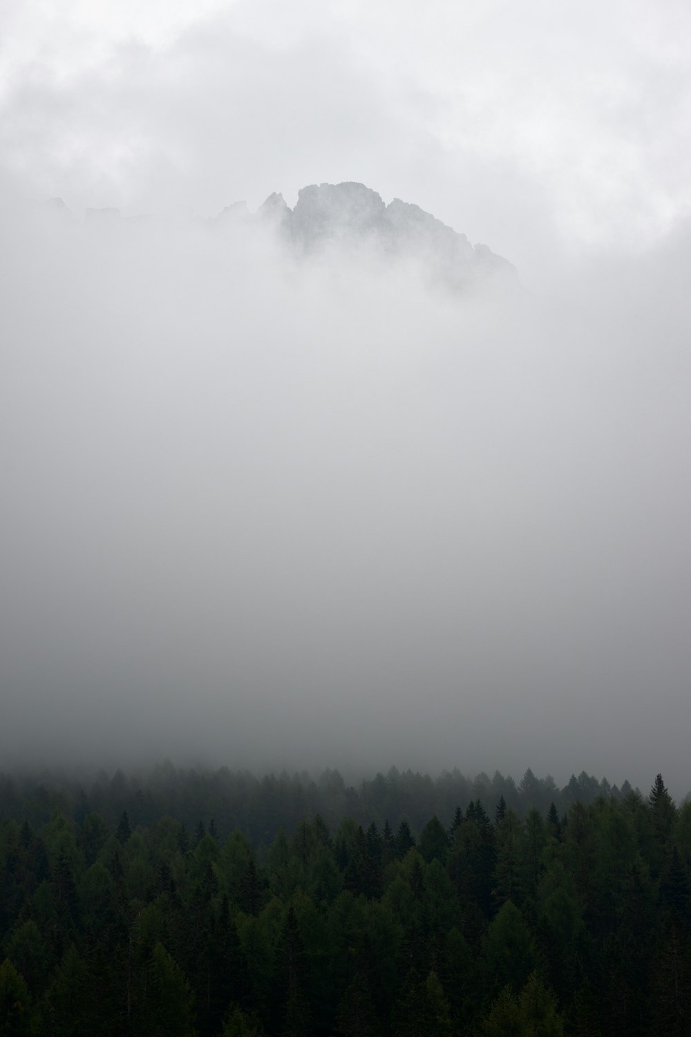 Grüne Bäume auf dem Berg tagsüber unter weißen Wolken