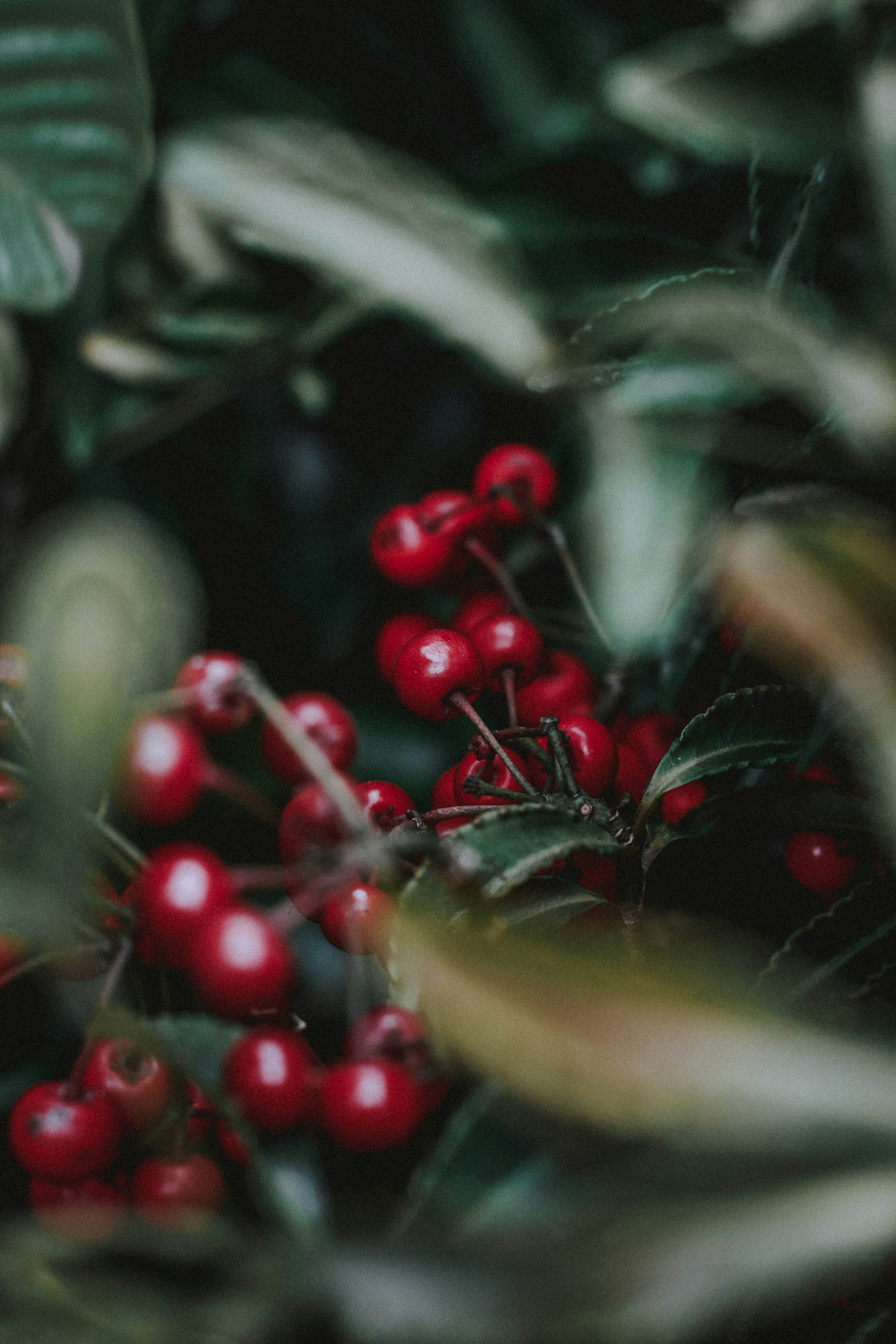 Photo by densauxsoy