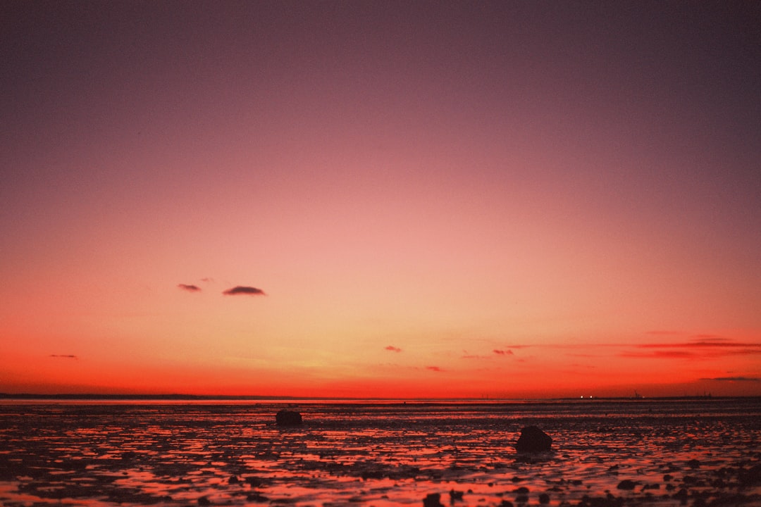 birds flying over the sea during sunset