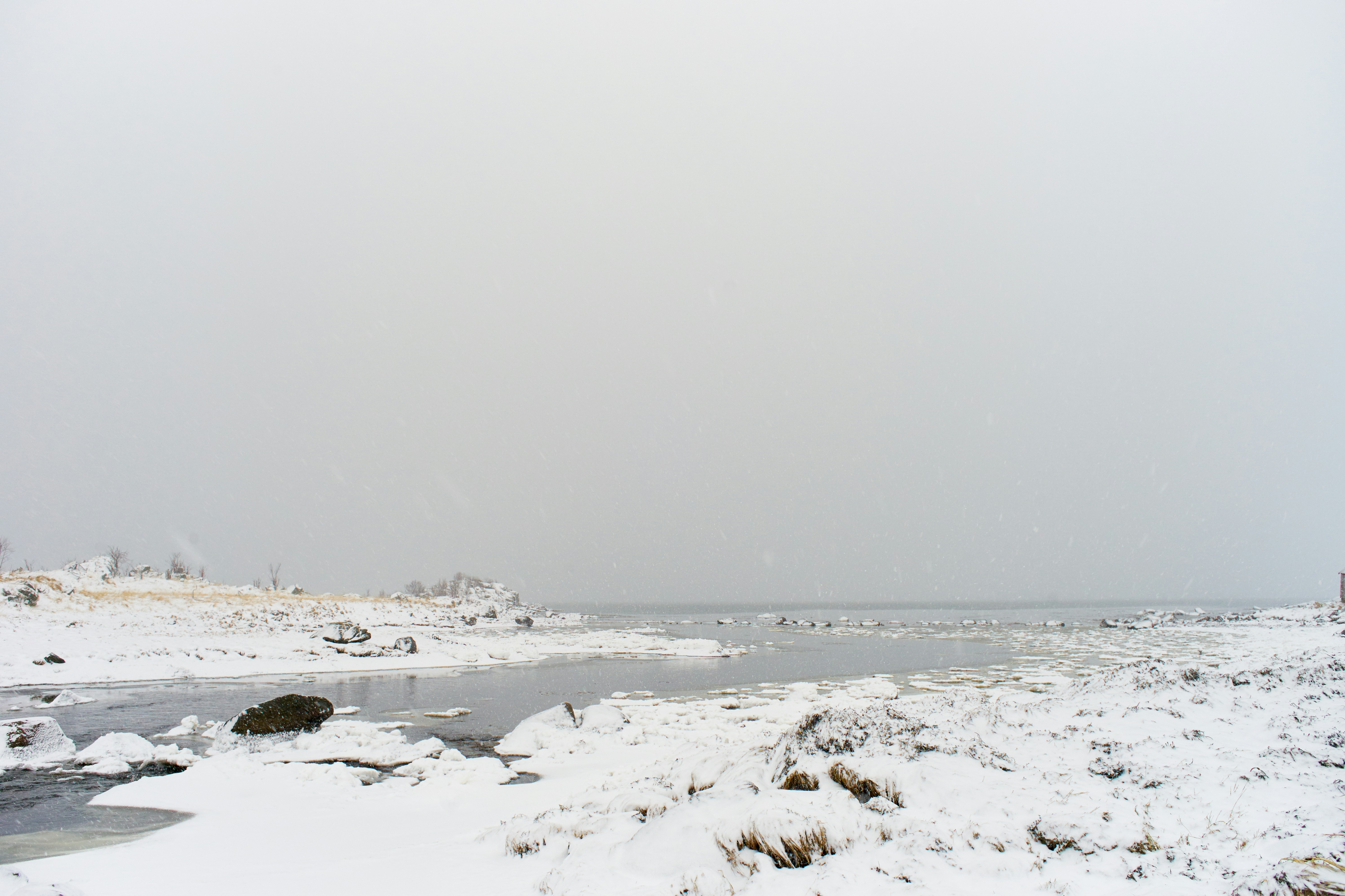 Photo by wolfgang_hasselmann