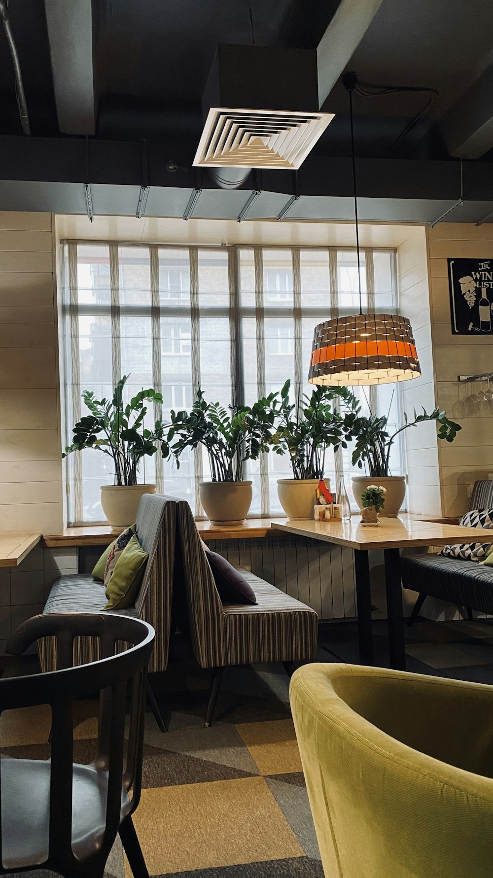 green potted plant on brown wooden table