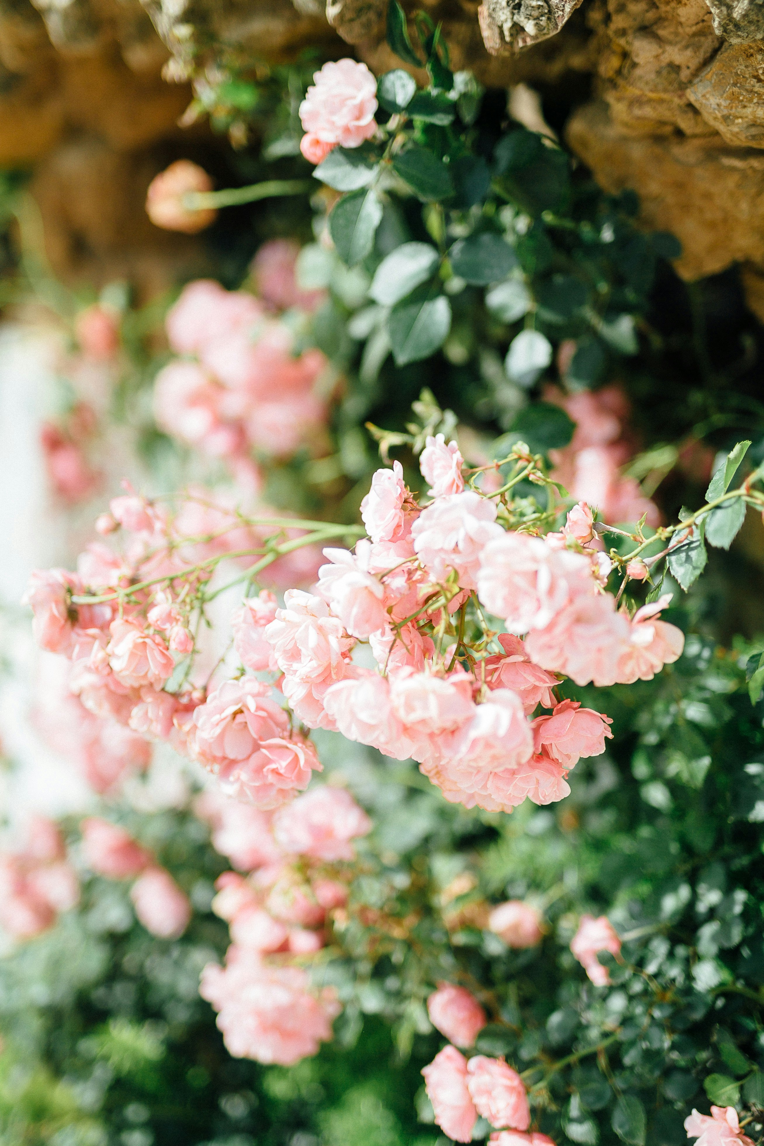 Photo by iamalexfroloff