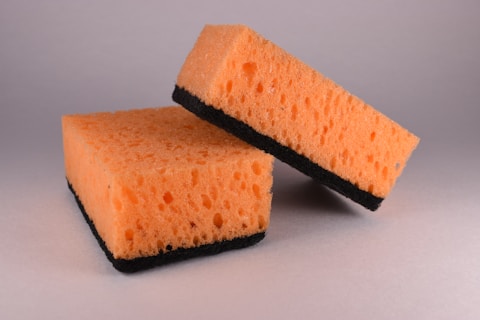 regular sponges