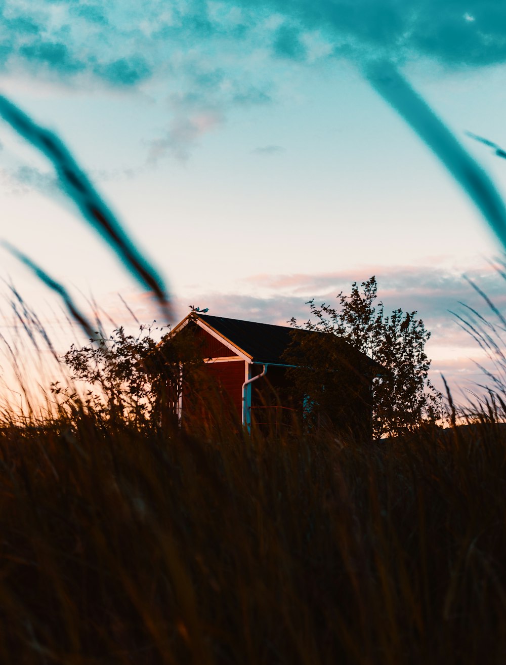 brown wooden house on green grass field during daytime