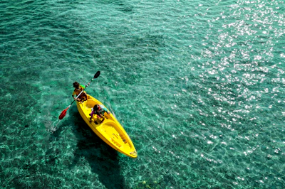 Premium Turtle Town kayak and snorkel