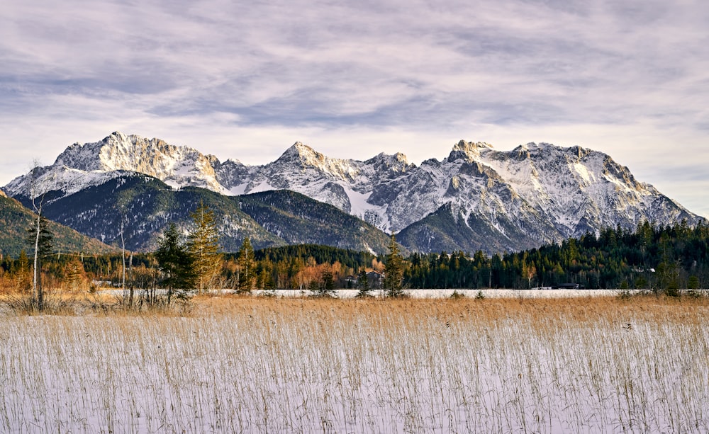 Schneebedeckter Berg tagsüber