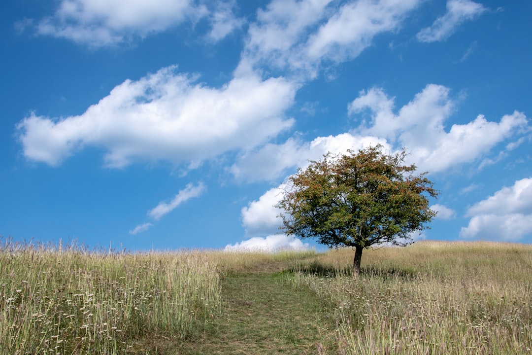 Natural landscape photo spot Mátranovák Bélapátfalva