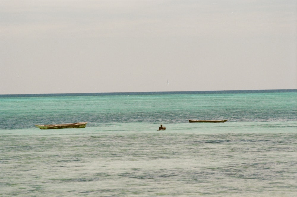 people in the sea during daytime