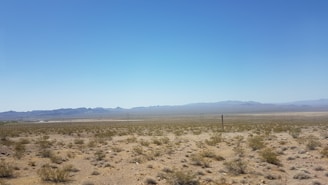A vast desert landscape stretches into the distance with sparse vegetation scattered across the sandy ground. Low mountain ranges are visible on the horizon under a clear, blue sky. The scene is mostly flat, with some distant utility poles indicating human presence.