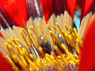 A detailed close-up of a floral composition in vibrant hues.