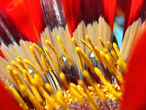 A detailed close-up of a floral composition in vibrant hues.