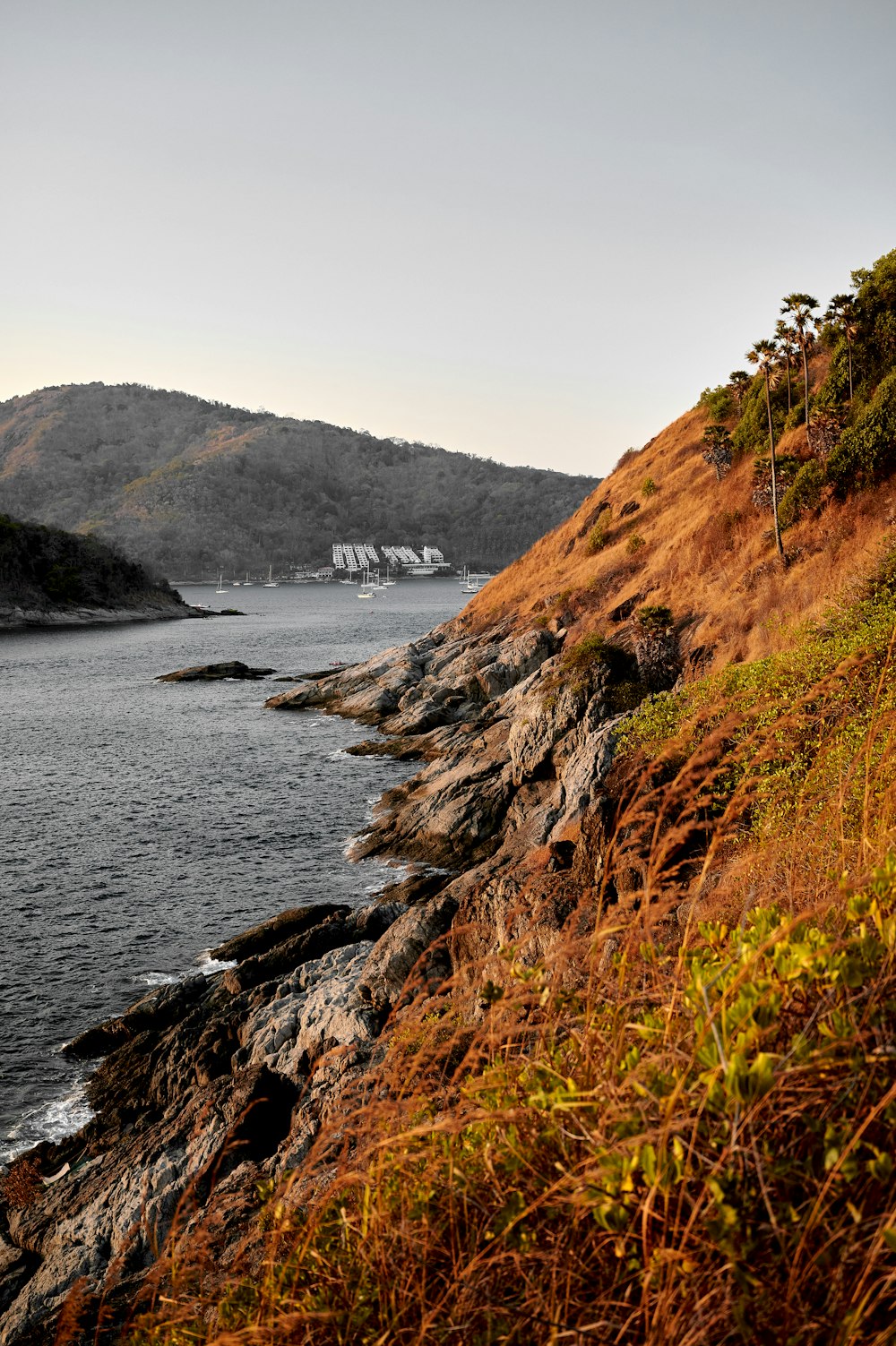 brown and green mountain beside body of water during daytime