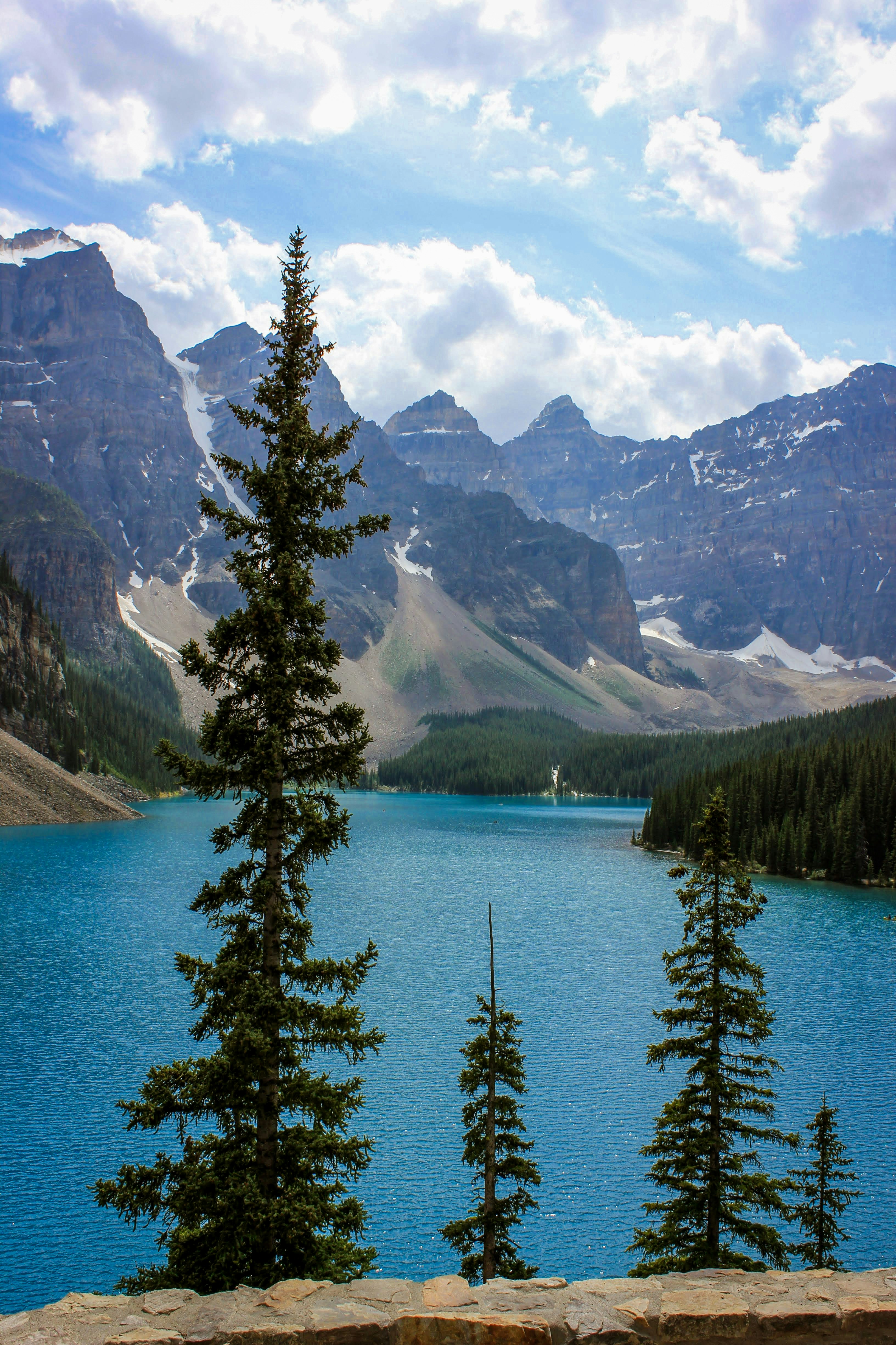 green pine trees near lake and mountain range
