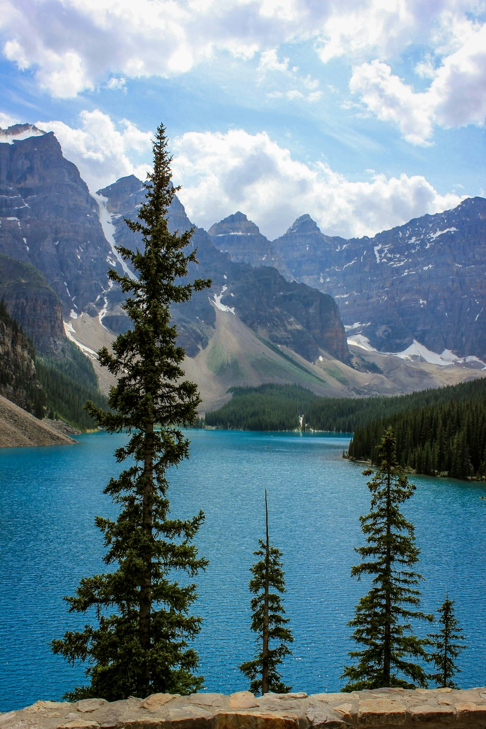 green pine trees near lake and mountain range