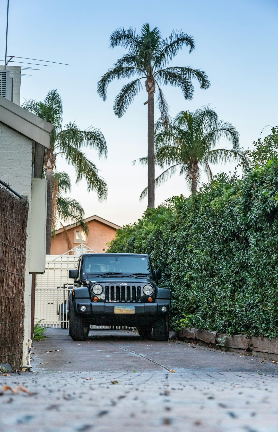 black jeep wrangler parked beside green tree during daytime