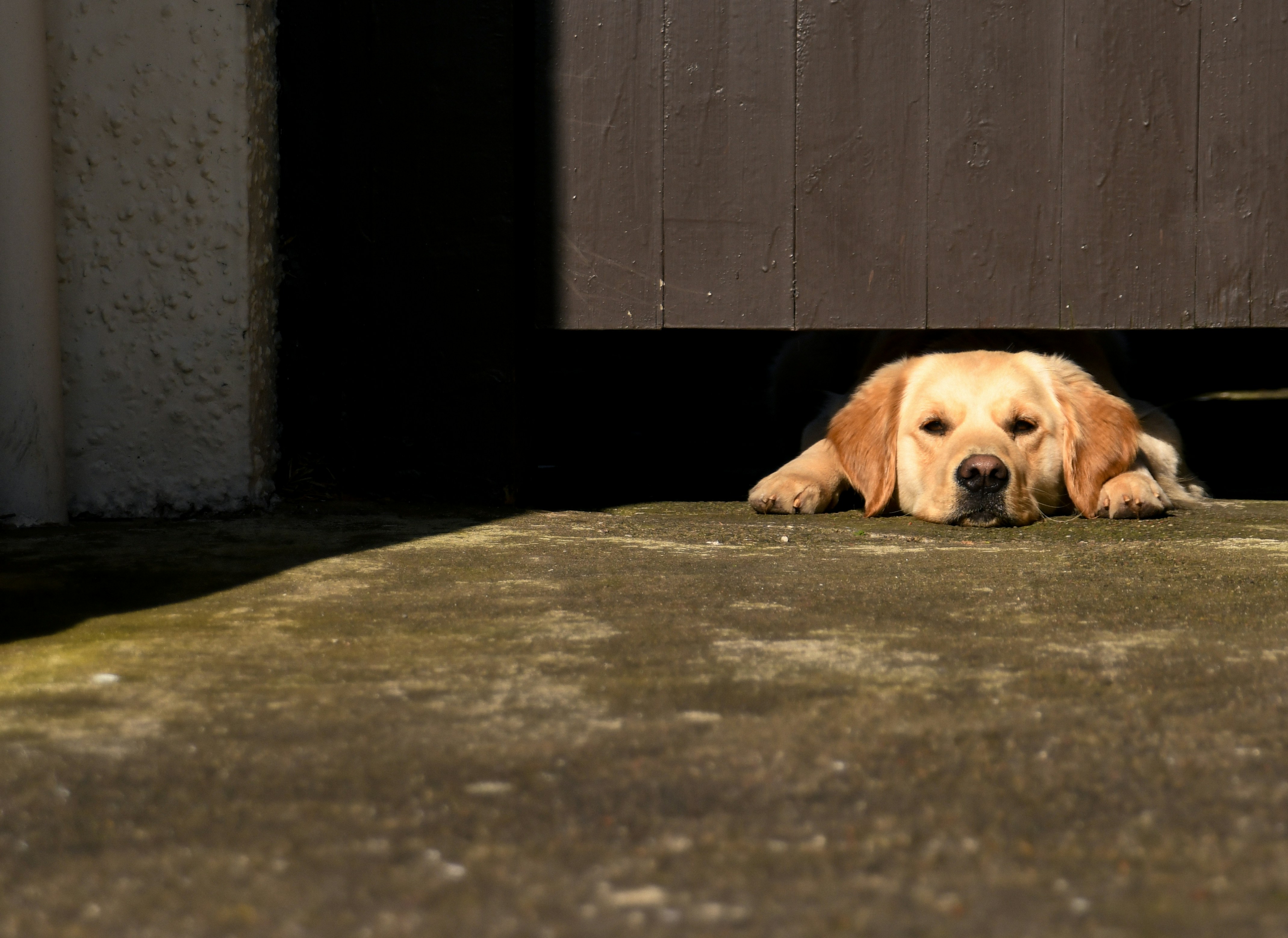 Photo by stephenoble