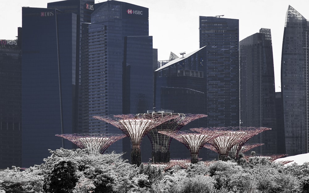 pink and white flower garden near high rise building during daytime