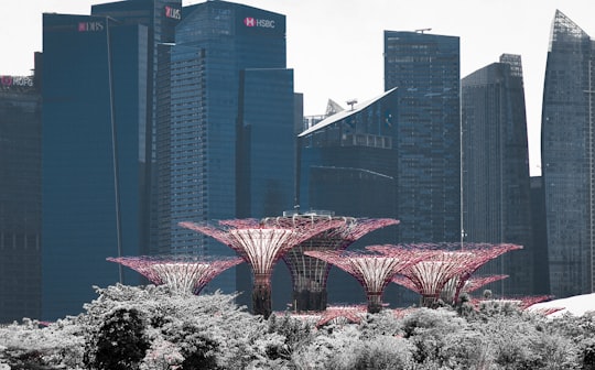 pink and white flower garden near high rise building during daytime in Gardens by the Bay Singapore