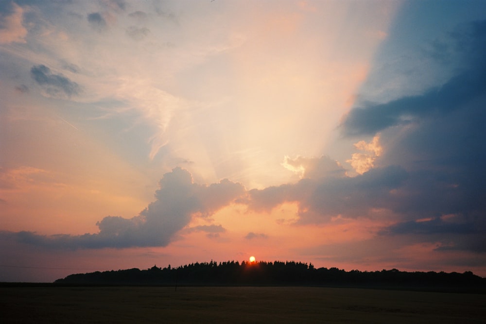 silhouette of trees during sunset