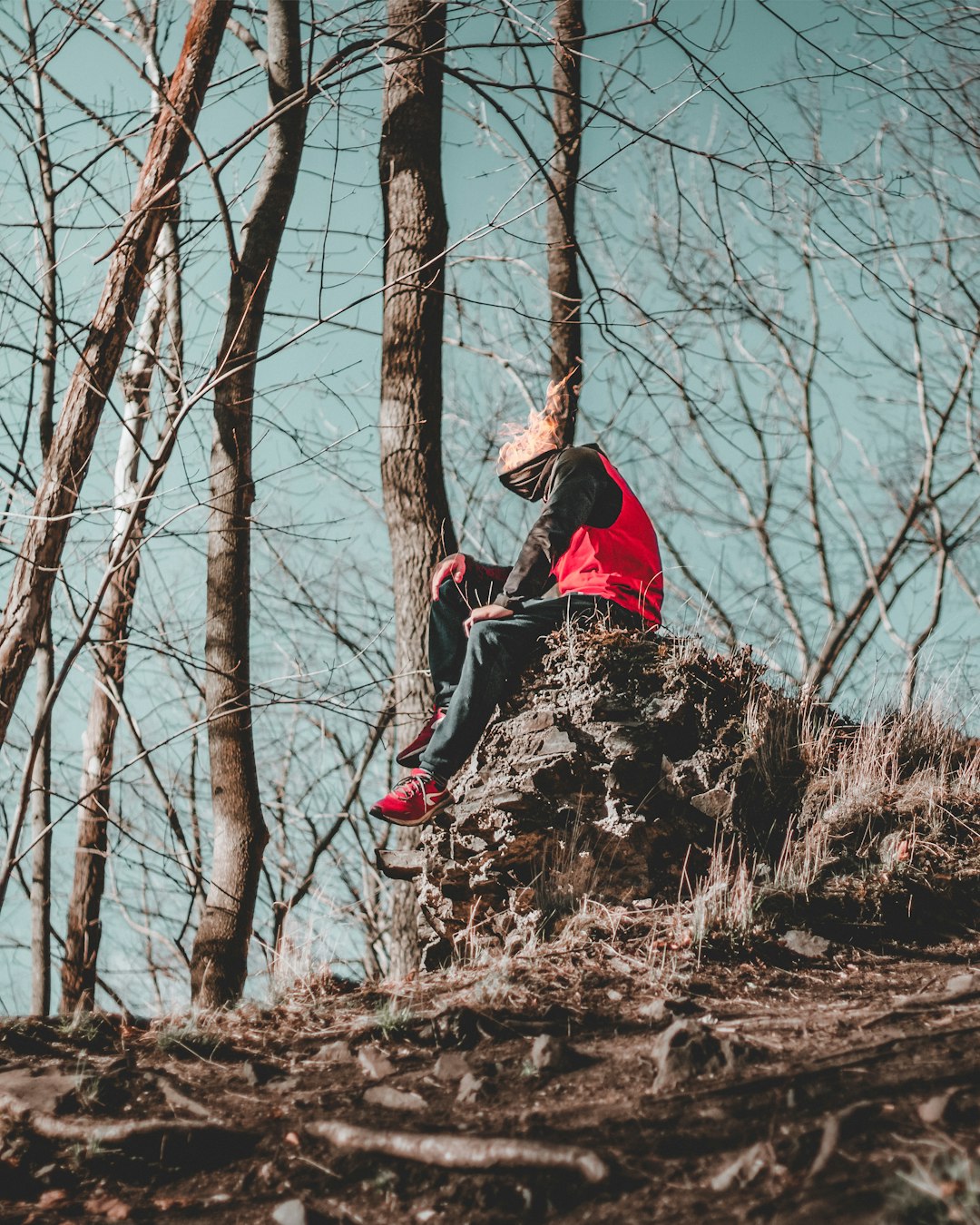 woman in red and black jacket sitting on brown tree branch during daytime